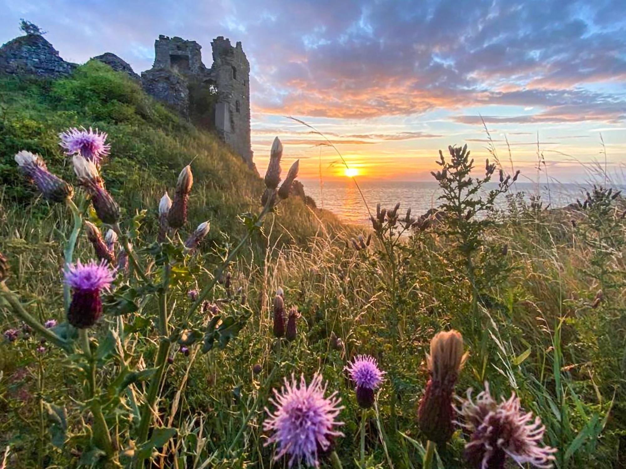 Aird Cottage Dunure Kültér fotó